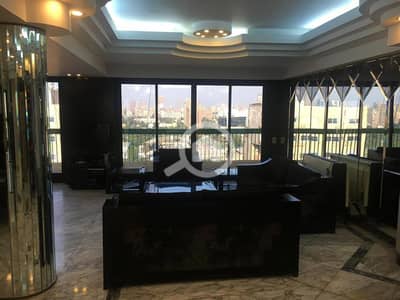 4 Bedroom Penthouse for Rent in Dokki, Giza - IMG-20240216-WA0197. jpg