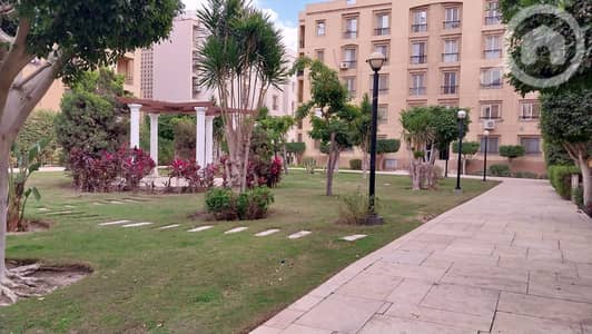 3 Bedroom Flat for Sale in New Cairo, Cairo - 170739640565c4cd35a68fb. jpeg