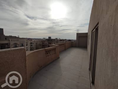 2 Bedroom Other Residential for Rent in New Cairo, Cairo - IMG-20240224-WA0263. jpg