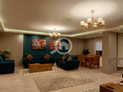 3 Bedroom Flat for Rent in Dokki, Giza - WhatsApp Image 2024-04-23 at 7.08. 13 PM. jpeg