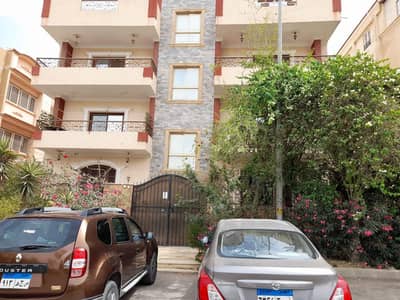 3 Bedroom Apartment for Sale in New Cairo, Cairo - 071d6639-b92a-44f1-87e5-e09765e8e037. jpg