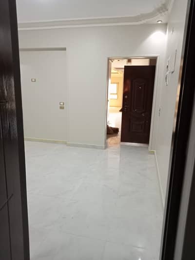 3 Bedroom Flat for Rent in New Cairo, Cairo - 4c6e8547-75bb-4681-b274-75144c6f5bb8. jpeg