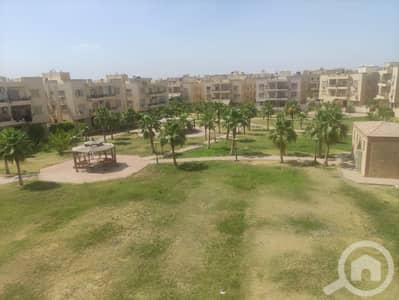 3 Bedroom Apartment for Sale in New Cairo, Cairo - WhatsApp Image 2024-05-09 at 2.27. 25 PM. jpeg