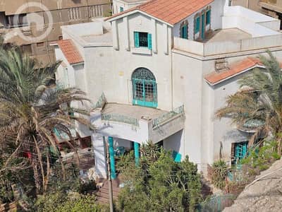 7 Bedroom Villa for Sale in Heliopolis, Cairo - 9e3626d6-af28-4b3c-b737-85dbf9896013. jpg