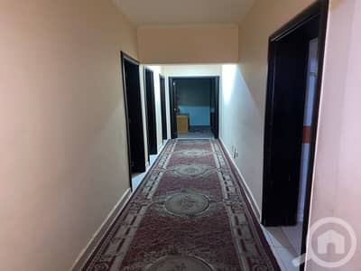 3 Bedroom Apartment for Rent in New Cairo, Cairo - 1d114dd0-e2c6-492b-becf-43a65d73ba36. jpg