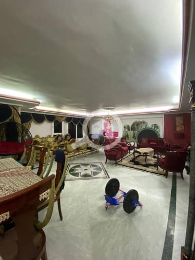 5 Bedroom Apartment for Sale in Nasr City, Cairo - WhatsApp Image 2023-08-19 at 3.48. 00 PM. jpeg