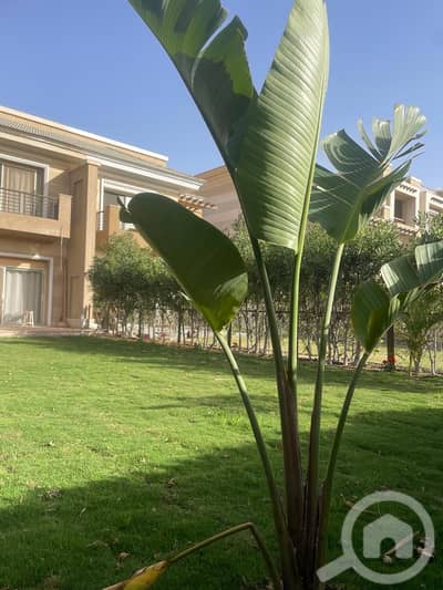 4 Bedroom Villa for Rent in 6th of October, Giza - IMG-20240521-WA0175. jpg