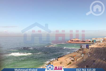 3 Bedroom Flat for Sale in Cleopatra, Alexandria - WhatsApp Image 2024-02-07 at 12.12. 13 PM (4). jpg