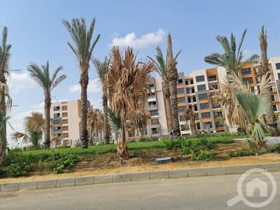 3 Bedroom Apartment for Sale in Mostakbal City, Cairo - WhatsApp Image 2024-06-03 at 5.22. 29 PM (3). jpeg