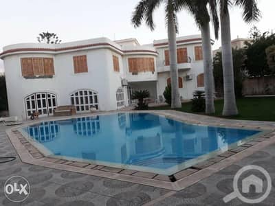 11 Bedroom Villa for Sale in Nakheel, Alexandria - 4f9e23cf-dbe2-4920-bfc4-4405ab998c39. jpg