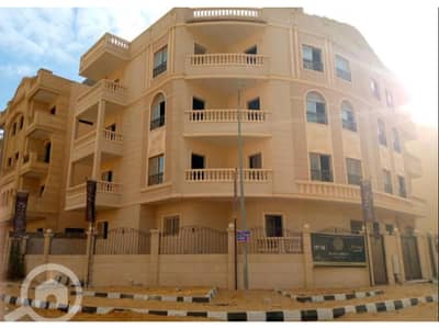 3 Bedroom Flat for Sale in New Cairo, Cairo - WhatsApp Image 2024-05-23 at 1.25. 25 PM. jpg