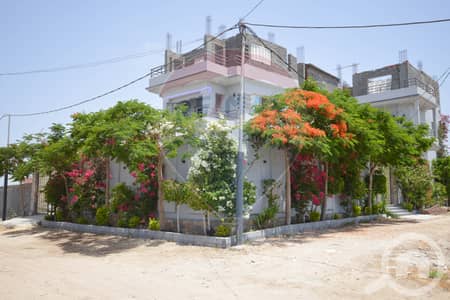 7 Bedroom Villa for Sale in Moharam Bik, Alexandria - DSC_0007. jpg
