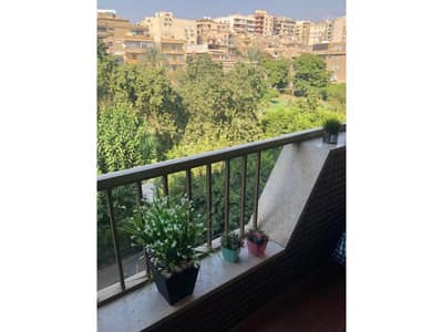 3 Bedroom Flat for Rent in Heliopolis, Cairo - WhatsApp Image 2024-06-24 at 11.56. 24 AM (3). jpg