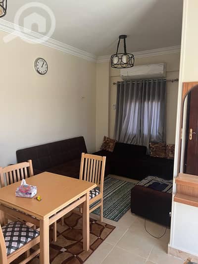 1 Bedroom Apartment for Rent in New Cairo, Cairo - WhatsApp Image 2024-07-02 at 11.20. 38 PM. jpeg