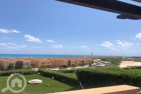 7 Bedroom Twin House for Sale in North Coast, Matruh - WhatsApp Image 2024-01-29 at 2.08. 33 PM (1). jpeg