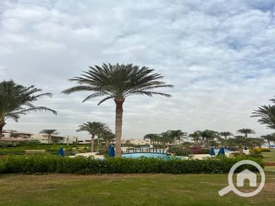 4 Bedroom Villa for Sale in Ain Sukhna, Suez - WhatsApp Image 2024-04-08 at 10.25. 19 AM (4). jpeg