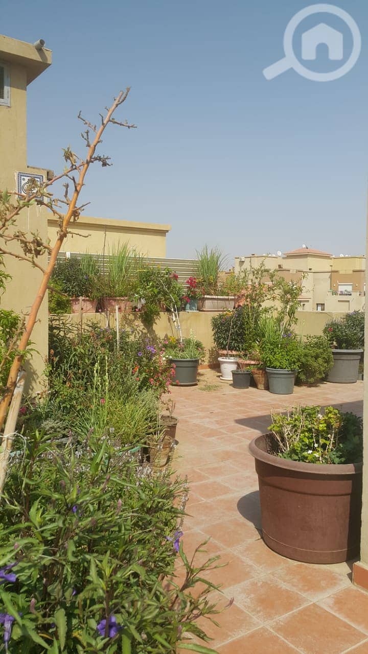 Studio for rent at casa october ستوديو في اكتوبر