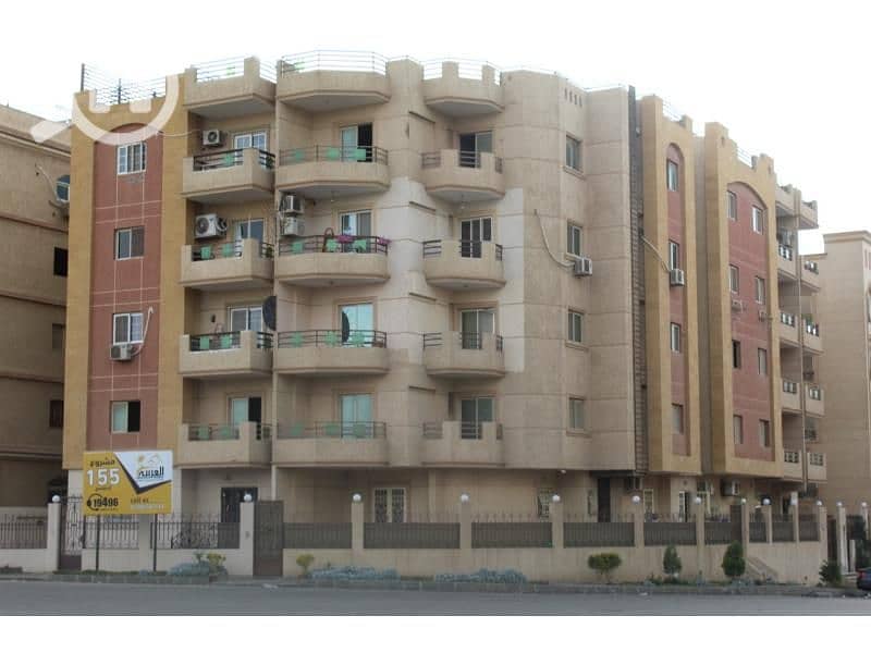 12 155 البنفسج عمارات. jpg