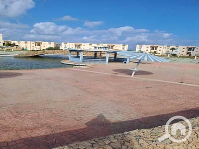 3 Bedroom Flat for Sale in North Coast, Matruh - WhatsApp Image 2024-04-22 at 2.15. 39 PM. jpeg