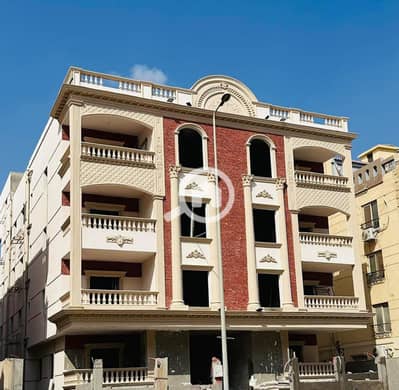 3 Bedroom Apartment for Sale in New Cairo, Cairo - WhatsApp Image 2024-07-01 at 12.17. 59_0a8c1e14. jpg