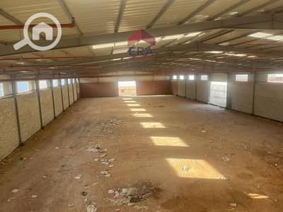 Warehouse for Rent in Badr City, Cairo - 57jzfjnj. png