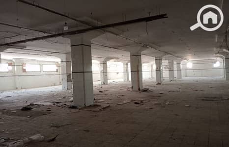 Factory for Sale in 10th of Ramadan, Sharqia - 66bdd48641e4e. jpeg