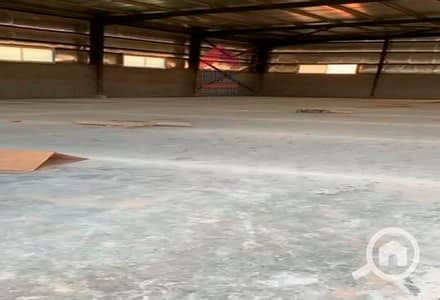 Warehouse for Rent in 10th of Ramadan, Sharqia - 95bd7e4e-4fe5-11ef-8df5-0e457069a218. jpeg