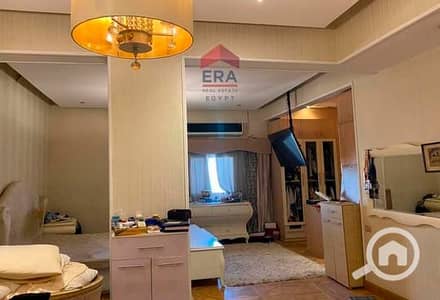 6 Bedroom Penthouse for Sale in Maadi, Cairo - 7e4f02c8-2735-11ef-a257-3ad237faa211. jpg