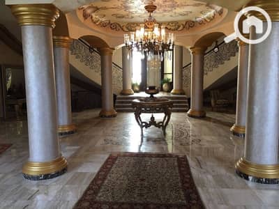 10 Bedroom Villa for Sale in New Cairo, Cairo - IMG-20240724-WA0412. jpg