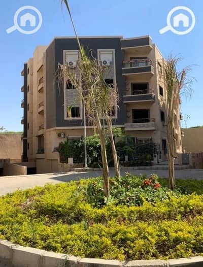 3 Bedroom Apartment for Sale in New Cairo, Cairo - WhatsApp Image 2024-08-26 at 3.15. 35 PM (1). jpeg