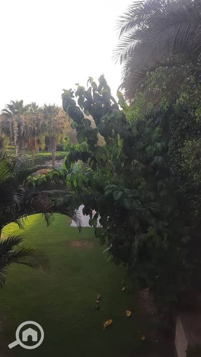 4 Bedroom Flat for Rent in New Cairo, Cairo - WhatsApp Image 2024-08-14 at 1.06. 33 PM (1). jpeg