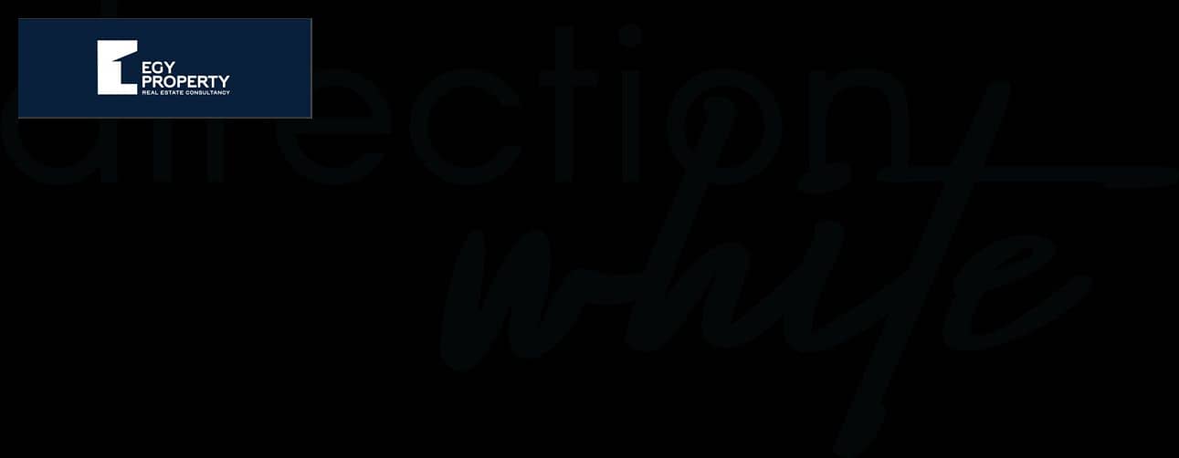 3 Direction-White-png-logo-in-colors-12-13. png