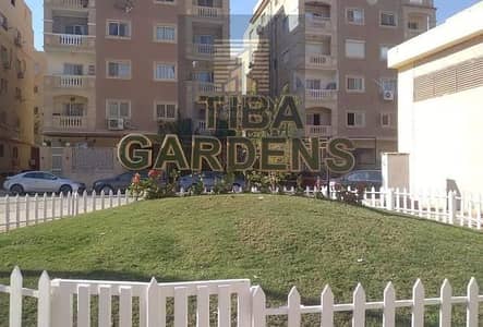 3 Bedroom Apartment for Sale in 6th of October, Giza - صورة واتساب بتاريخ 1446-02-25 في 11.06. 08_6697840f. jpg