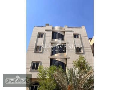 Commercial Building for Sale in Maadi, Cairo - 8a516be0-1b17-4316-b9ce-bf5624bf7d42. png