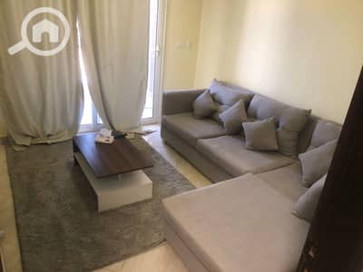 3 Bedroom Apartment for Rent in New Cairo, Cairo - WhatsApp Image 2024-08-31 at 4.47. 46 PM (3). jpeg