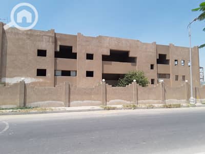 Factory for Sale in Badr City, Cairo - ٢٠٢٤٠٧٠٢_١١٤٤٤٨. jpg