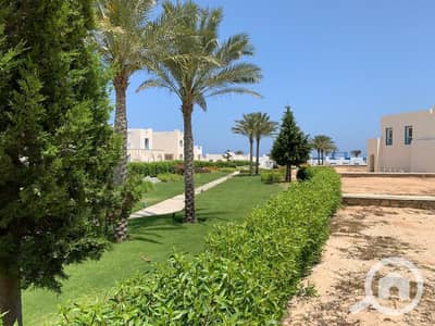 5 Bedroom Villa for Sale in North Coast, Matruh - WhatsApp Image 2024-08-29 at 10.03. 07 AM (2). jpeg