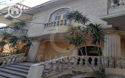 11 Bedroom Villa for Sale in New Cairo, Cairo - WhatsApp-Image-2024-05-26-at-4.04. 14-PM-1_800x500-1. jpg