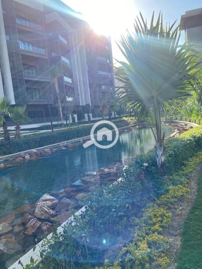 3 Bedroom Apartment for Sale in Madinaty, Cairo - e0b5339b-e35b-4778-bccc-5a4fc17c6802. jpg