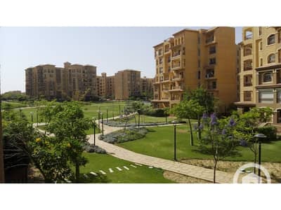 3 Bedroom Apartment for Sale in Madinaty, Cairo - WhatsApp Image 2022-12-11 at 11.11. 54 AM (1). jpg