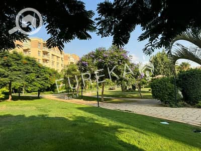 3 Bedroom Flat for Sale in Madinaty, Cairo - 79112af6-3c76-4ba9-aa11-e9b02632d942. jfif. jpg