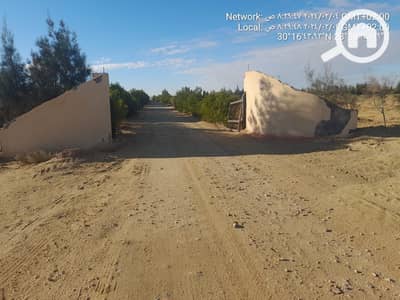 Commercial Land for Sale in Alamein, Matruh - WhatsApp Image 2024-09-08 at 21.36. 52_0cfb6dfe. jpg