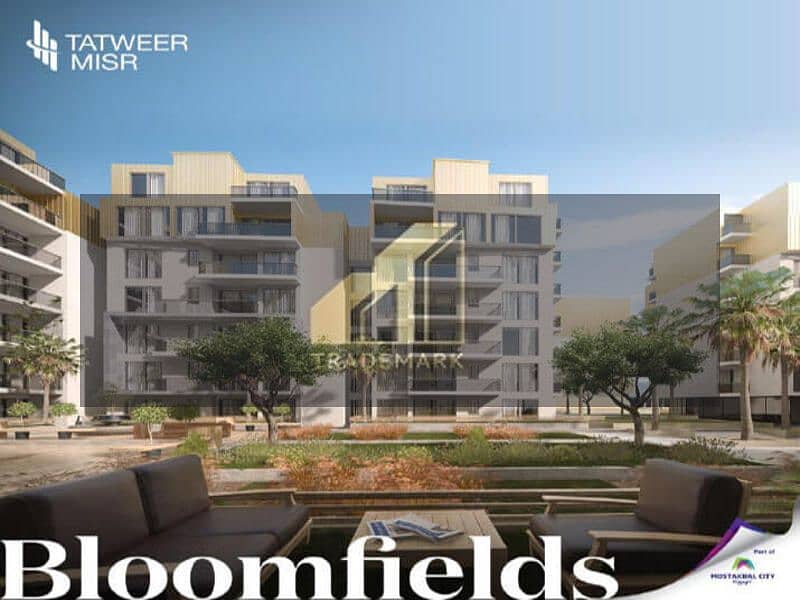 4 bloomfields-egypt-prices. jpg