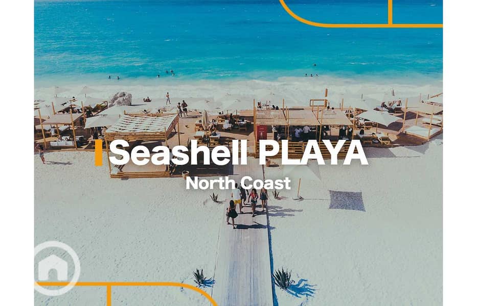 3 Seashell-Playa. jpg