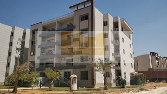 3 Bedroom Flat for Sale in New Cairo, Cairo - IMG-20240911-WA0120. jpg