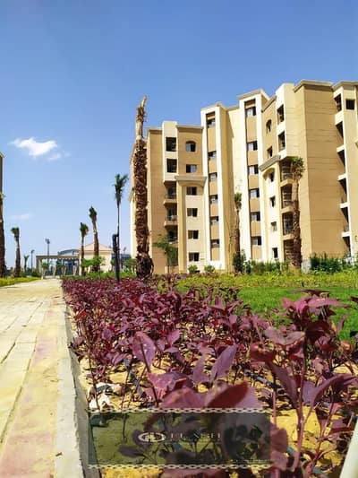 3 Bedroom Flat for Sale in New Capital City, Cairo - WhatsApp Image 2022-05-11 at 12.50. 14 PM (1). jpeg