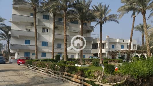 11 Bedroom Villa for Sale in Maryotaya, Giza - WhatsApp Image 2024-08-03 at 3.24. 54 PM (3). jpeg