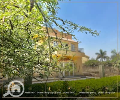 11 Bedroom Villa for Sale in Madinaty, Cairo - WhatsApp Image 2024-08-05 at 14.43. 20_b5a28c78. jpg