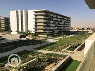 2 Bedroom Flat for Sale in Shorouk City, Cairo - 78b04d2c-2665-11ef-98c9-86c5f414f289. jpg