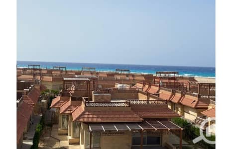 3 Bedroom Chalet for Sale in North Coast, Matruh - 51cb3487-be76-49ec-9dc6-376a02cf0758. jpg